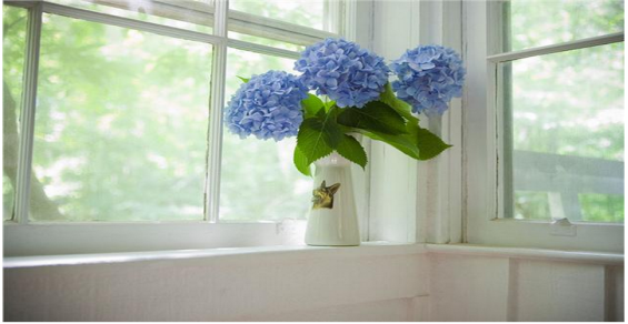 1xBET·Signup(中国区)-官方网站