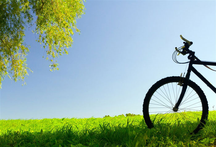 即即是春风十里，，，依然不如你