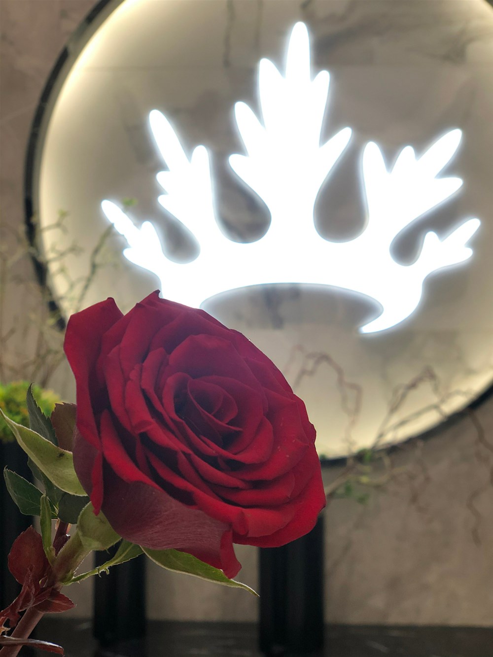 1xBET·Signup(中国区)-官方网站