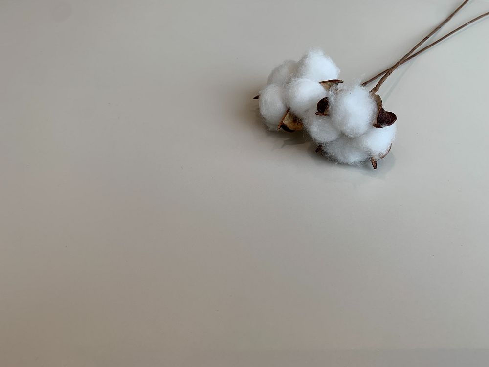 1xBET·Signup(中国区)-官方网站